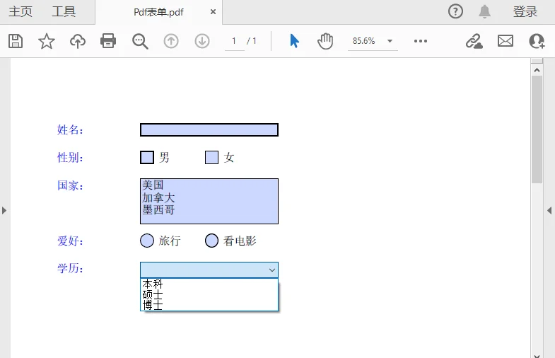 在 Python 中创建 PDF 可填写表单