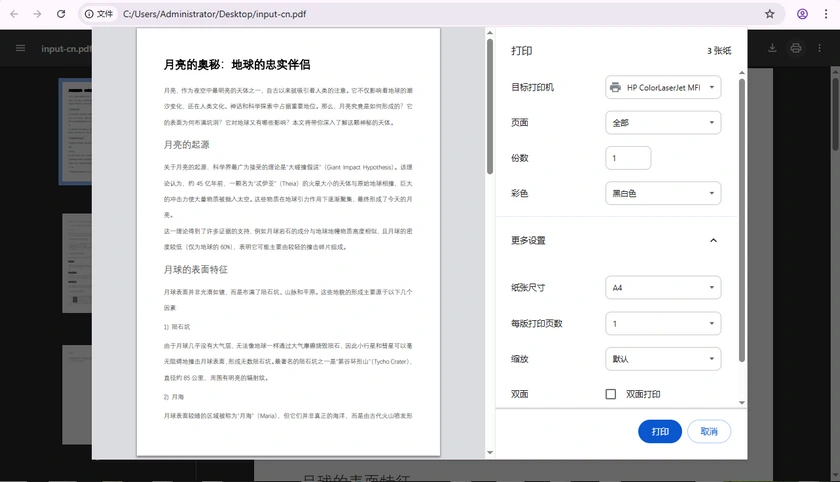 使用 Google Chrome 打印 PDF 文档